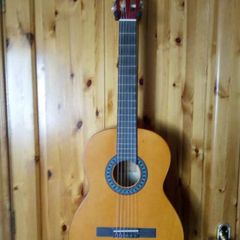Classical guitar & bag