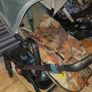 bugaboo diesel camo footmuff Image 3