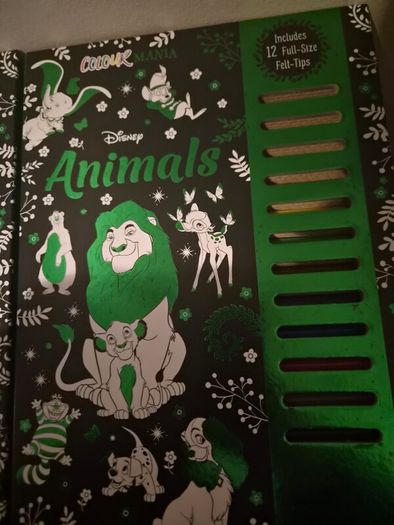 3 Disney Colouring books & markers