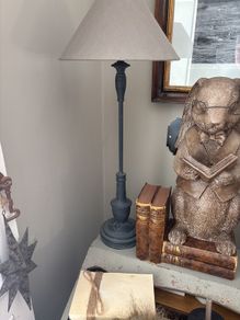 Lamp and. Reading hare