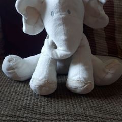 M&S activity elephant.