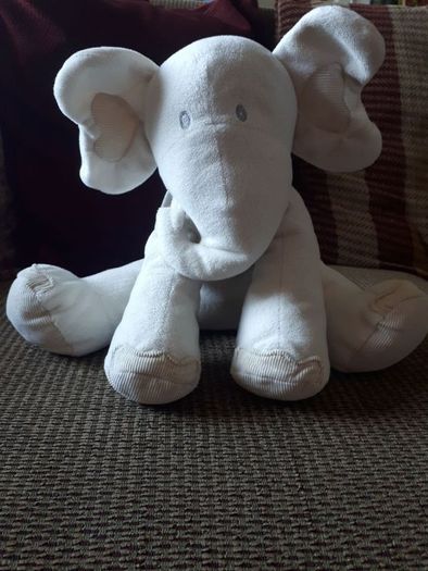 M&S activity elephant.