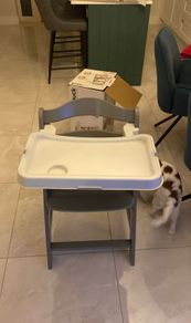 hauck alpha highchair