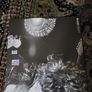 Mudhoney: superfuzzbigmuff LP Image 2