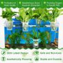 New Upgraded Large Aquarium Plant Holder with Hooks and Suction Cups for Fish Tank Aquaponic Plant Cultivation and Aquascape Accessories Decorations (4 PCS) Transparent Image 5