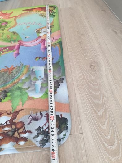 Princess Play Mat Rug