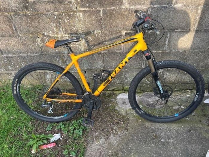 giant bike