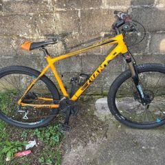giant bike