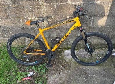 giant bike
