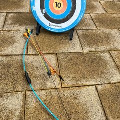 Bow and arrows