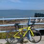 Cannondale CAAD Optimo Road Bike Image 5