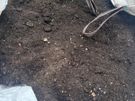 Topsoil For Sale Image 5