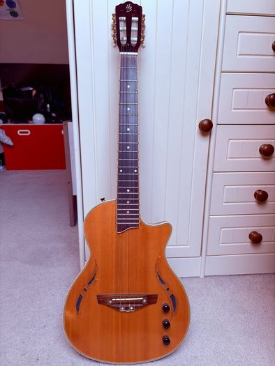 Semi acoustic electric guitar
