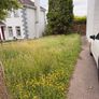 lawn mover Image 3