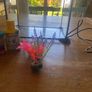 Glass Fish Tank Image 5