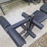Gym Bench and Preacher Curl Image 4
