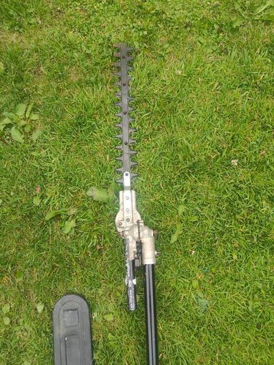long ridge hedge trimmer and pruning