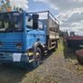 Renault Other 1996 Image 6