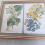 Framed double Botanical Print of  flowers still life. Image 9