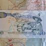 Central Bank of Lesotho 20 Maloti 1994 Image 2