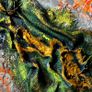 Abstract Gecko Natures Hidden Textures 40x40cm on Canvas Image 8