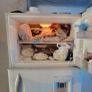 refrigerator Image 2