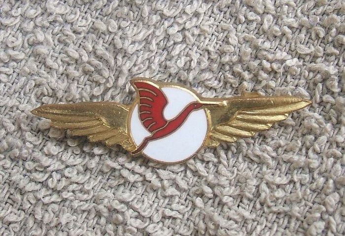 Unidentified airline badge (c.1970s)
