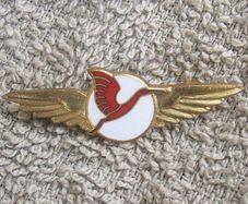 Unidentified airline badge (c.1970s)