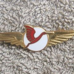 Unidentified airline badge (c.1970s)