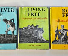 Joy Adamson Hardback Books - Born Free - Forever Free - Living Free - Vintage Wildlife Books