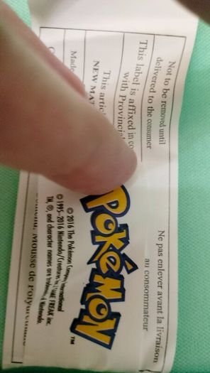 Pokemon costume