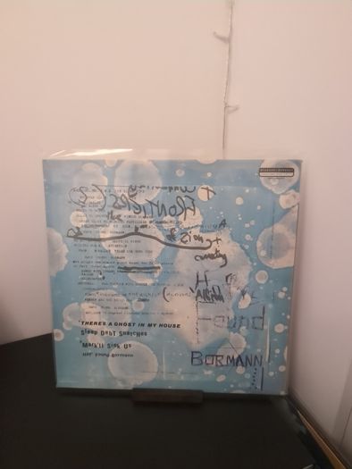 The Fall - There's A Ghost In My House (12", Gat) Vinyl