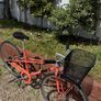 MBM Radonee Ladies Bike Image 5