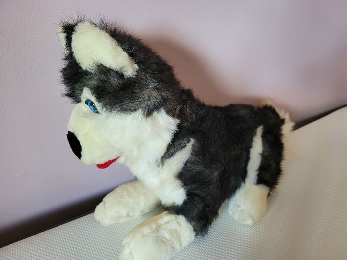 Large Husky Soft Toy Teddy Bear Plush Great Condition