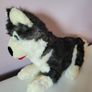 Large Husky Soft Toy Teddy Bear Plush Great Condition Image 3
