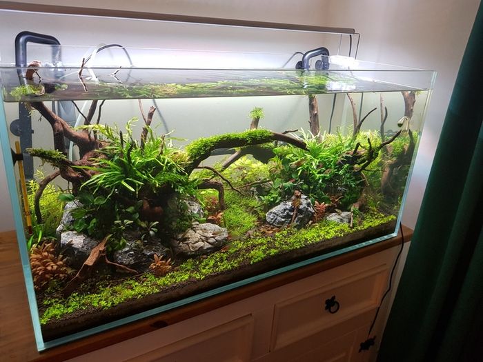 aquarium equipment and optiwhite tank 90x45x45cm