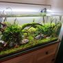 aquarium equipment and optiwhite tank 90x45x45cm Image 9