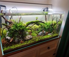 aquarium equipment and optiwhite tank 90x45x45cm