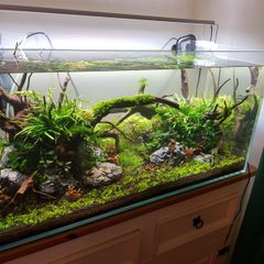 aquarium equipment and optiwhite tank 90x45x45cm