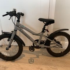 Ridgeback MX16 Kids bike