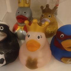 Plastic ducks
