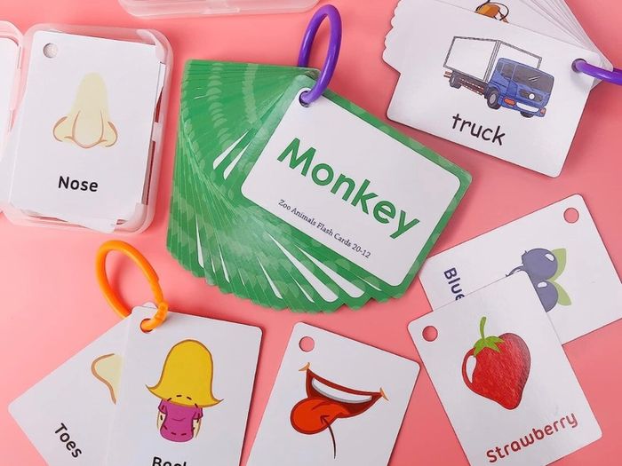 Flash Cards for Toddlers Educational Flash Cards 4 Pack Preschool Learning Flash Cards with Animals, Fruits, Transportation, Body Parts Waterproof Baby Flashcards for 2-6 Year Olds