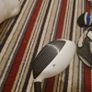 Taylormade 7 wood Image 6