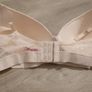 Bras Image 4