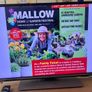 Panasonic 39" Smart TV Image 3