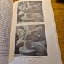 1950 The Potter's Craft. Clay Working and Ceramics. Early XX century. Charles F Binns Image 4