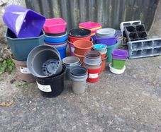 plant pots