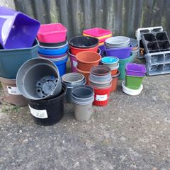 plant pots
