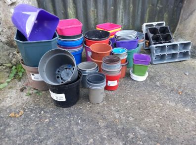 plant pots