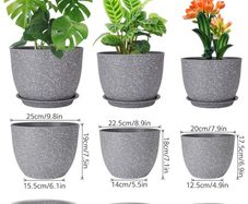 Large plastic plant pots